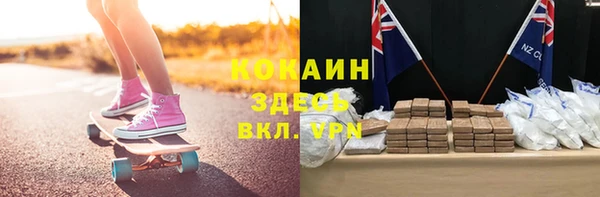 дживик Алексин