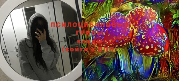 Альфа ПВП Алзамай