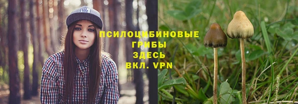 кокс Алексеевка